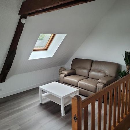 Appartement Avec Vue Sur Loire Blois Exterior foto
